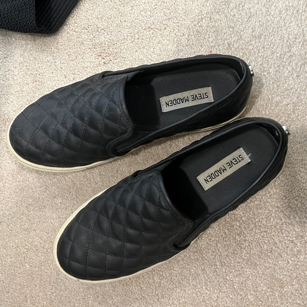 Steve Madden Ecentrq shoes